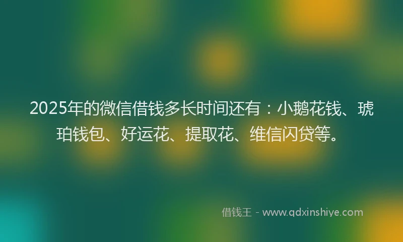 2025年的微信借钱多长时间还有：小鹅花钱、琥珀钱包、好运花、提取花、维信闪贷等。