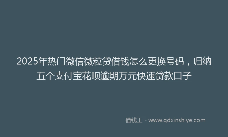 2025年热门微信微粒贷借钱怎么更换号码，归纳五个支付宝花呗逾期万元快速贷款口子