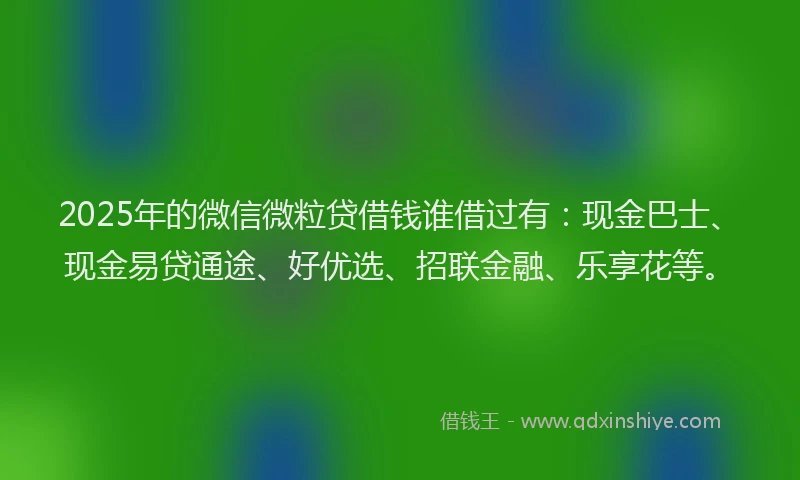 2025年的微信微粒贷借钱谁借过有：现金巴士、现金易贷通途、好优选、招联金融、乐享花等。
