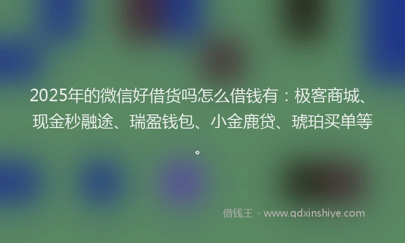 2025年的微信好借货吗怎么借钱有：极客商城、现金秒融途、瑞盈钱包、小金鹿贷、琥珀买单等。