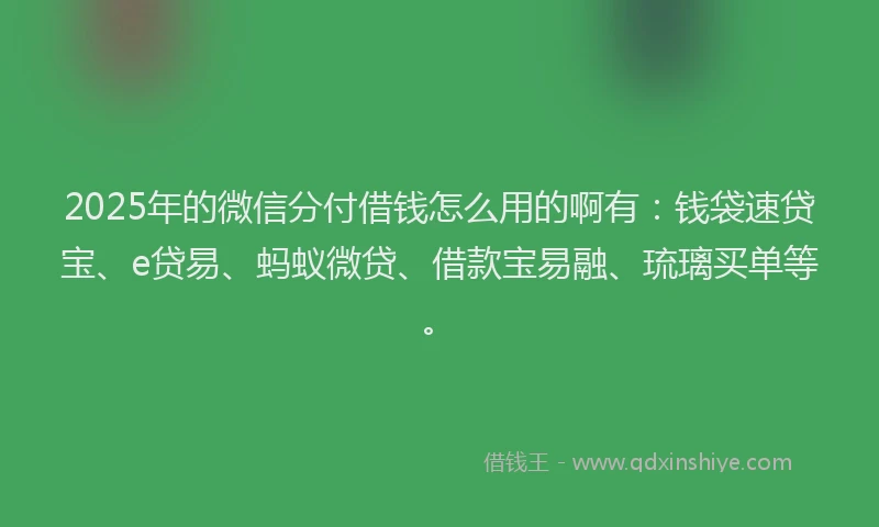 2025年的微信分付借钱怎么用的啊有：钱袋速贷宝、e贷易、蚂蚁微贷、借款宝易融、琉璃买单等。
