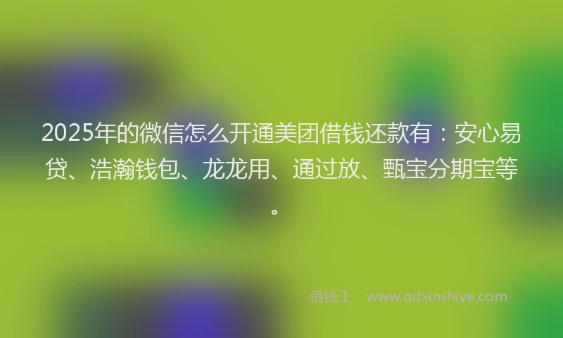2025年的微信怎么开通美团借钱还款有：安心易贷、浩瀚钱包、龙龙用、通过放、甄宝分期宝等。