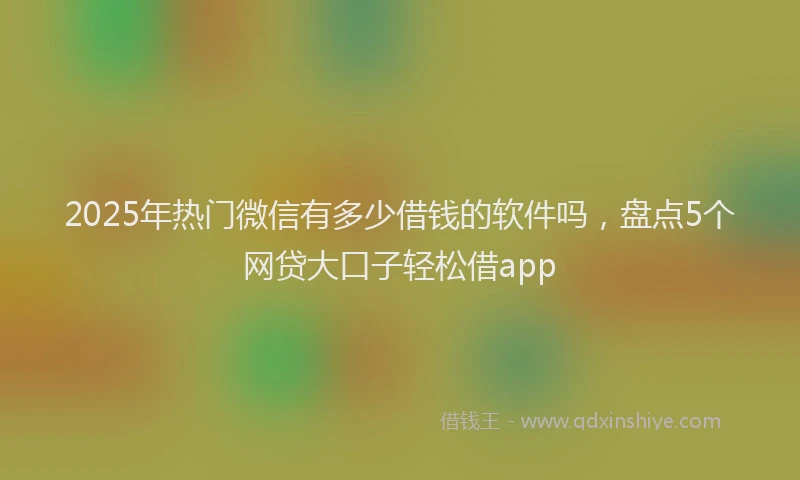 2025年热门微信有多少借钱的软件吗，盘点5个网贷大口子轻松借app