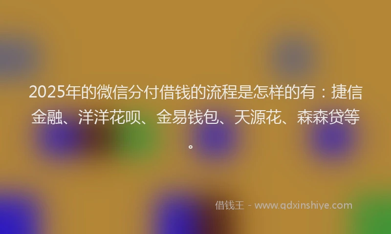 2025年的微信分付借钱的流程是怎样的有：捷信金融、洋洋花呗、金易钱包、天源花、森森贷等。