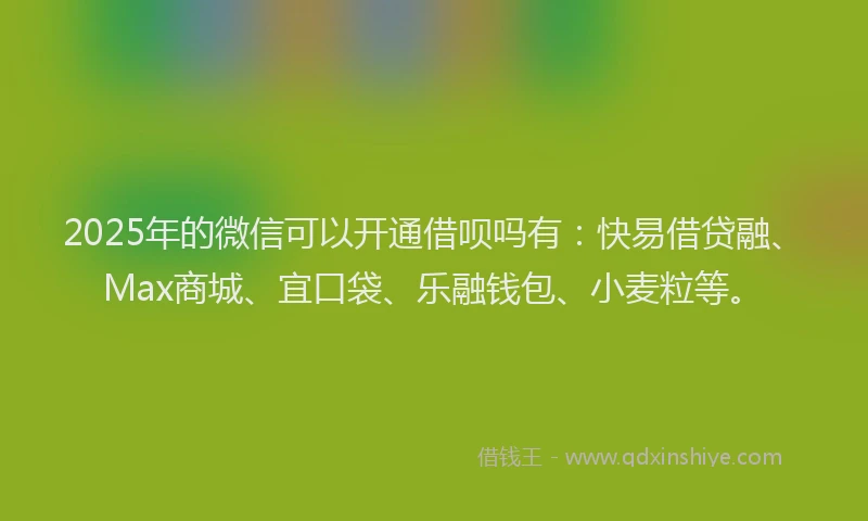 2025年的微信可以开通借呗吗有：快易借贷融、Max商城、宜口袋、乐融钱包、小麦粒等。
