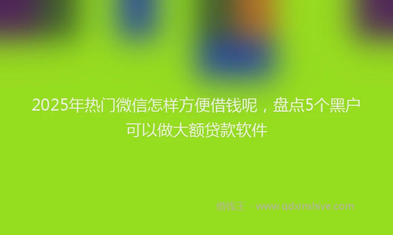 2025年热门微信怎样方便借钱呢，盘点5个黑户可以做大额贷款软件