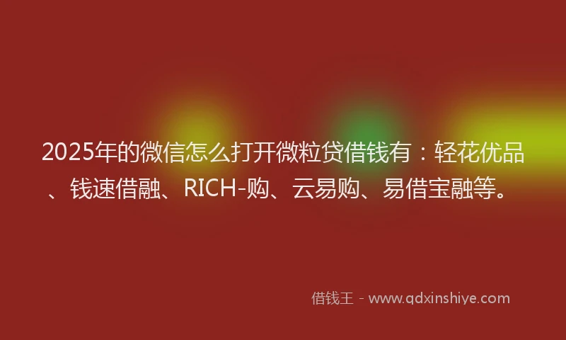 2025年的微信怎么打开微粒贷借钱有：轻花优品、钱速借融、RICH-购、云易购、易借宝融等。