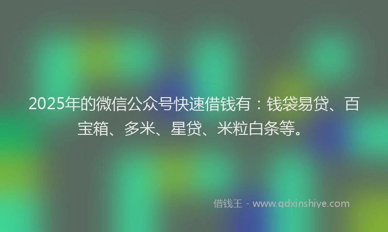 2025年的微信公众号快速借钱有：钱袋易贷、百宝箱、多米、星贷、米粒白条等。