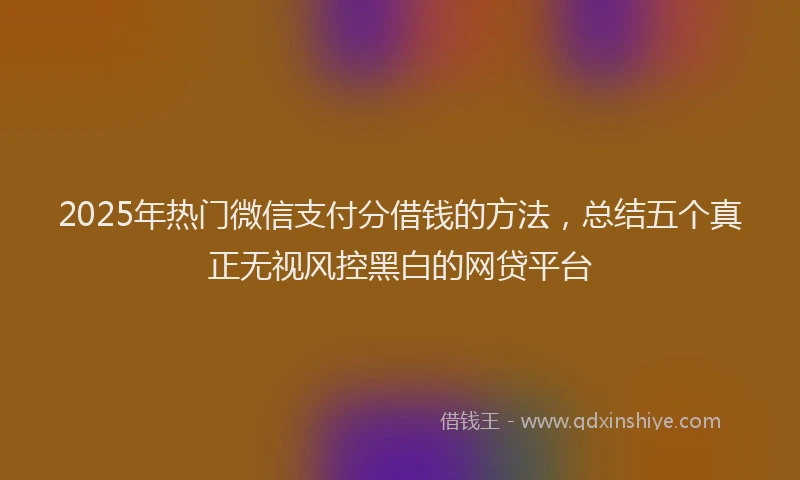 2025年热门微信支付分借钱的方法，总结五个真正无视风控黑白的网贷平台