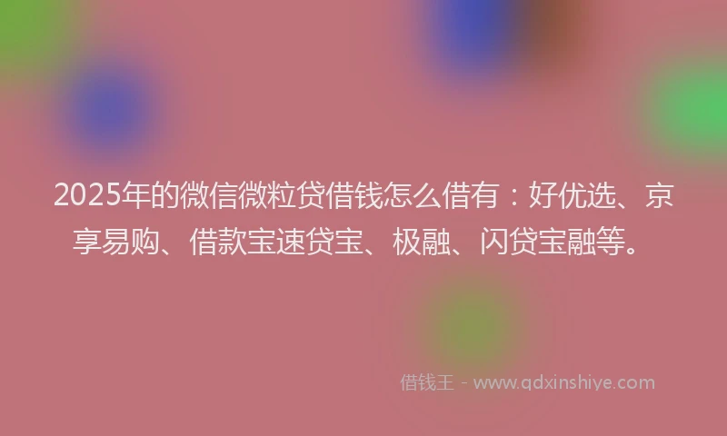 2025年的微信微粒贷借钱怎么借有：好优选、京享易购、借款宝速贷宝、极融、闪贷宝融等。
