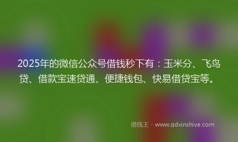 2025年的微信公众号借钱秒下有：玉米分、飞鸟贷、借款宝速贷通、便捷钱包、快易借贷宝等。