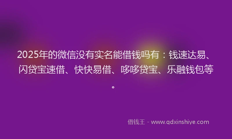 2025年的微信没有实名能借钱吗有：钱速达易、闪贷宝速借、快快易借、哆哆贷宝、乐融钱包等。