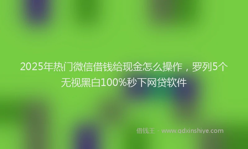 2025年热门微信借钱给现金怎么操作，罗列5个无视黑白100%秒下网贷软件