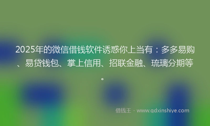 2025年的微信借钱软件诱惑你上当有：多多易购、易贷钱包、掌上信用、招联金融、琉璃分期等。