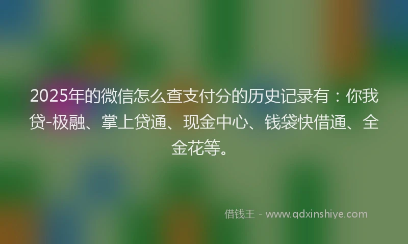 2025年的微信怎么查支付分的历史记录有：你我贷-极融、掌上贷通、现金中心、钱袋快借通、全金花等。