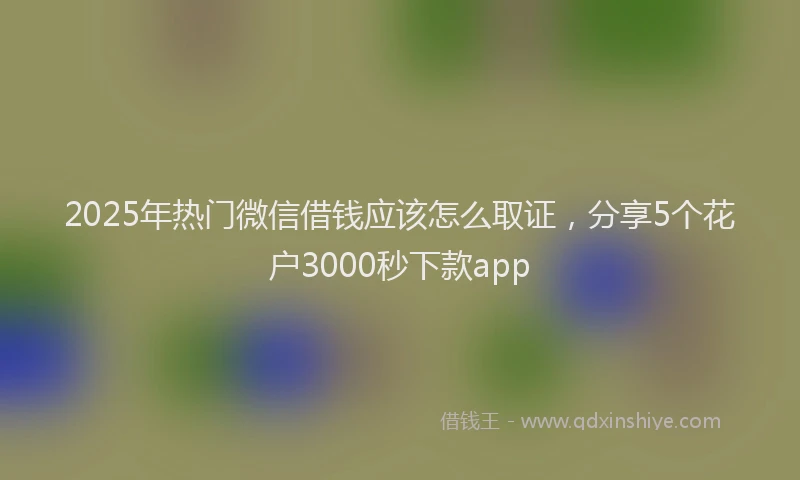 2025年热门微信借钱应该怎么取证，分享5个花户3000秒下款app