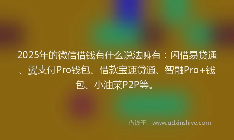 2025年的微信借钱有什么说法嘛有：闪借易贷通、翼支付Pro钱包、借款宝速贷通、智融Pro+钱包、小油菜P2P等。
