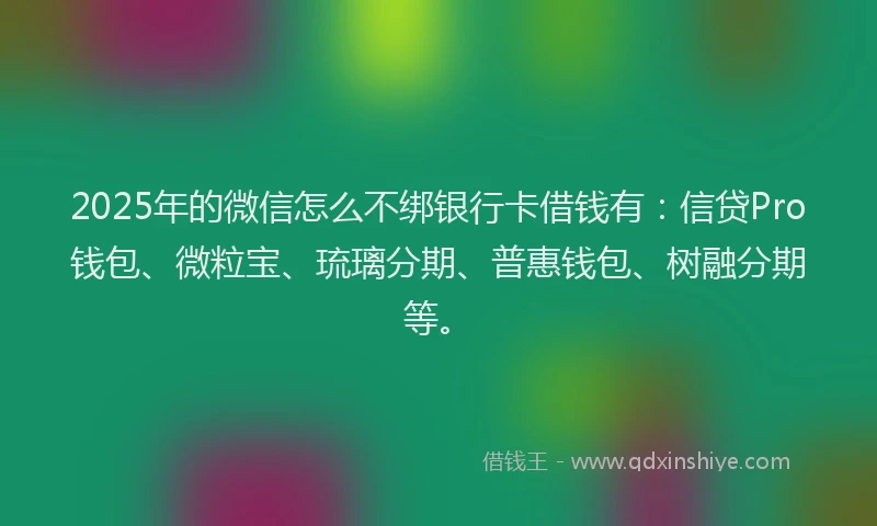 2025年的微信怎么不绑银行卡借钱有：信贷Pro钱包、微粒宝、琉璃分期、普惠钱包、树融分期等。