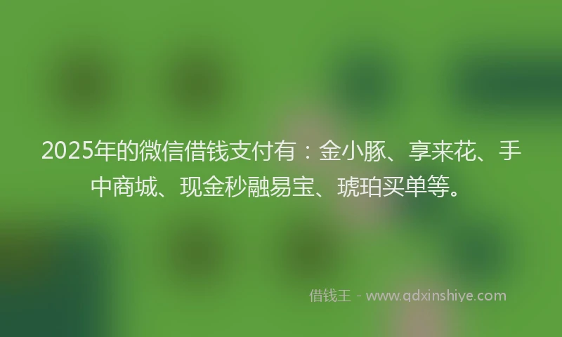 2025年的微信借钱支付有：金小豚、享来花、手中商城、现金秒融易宝、琥珀买单等。