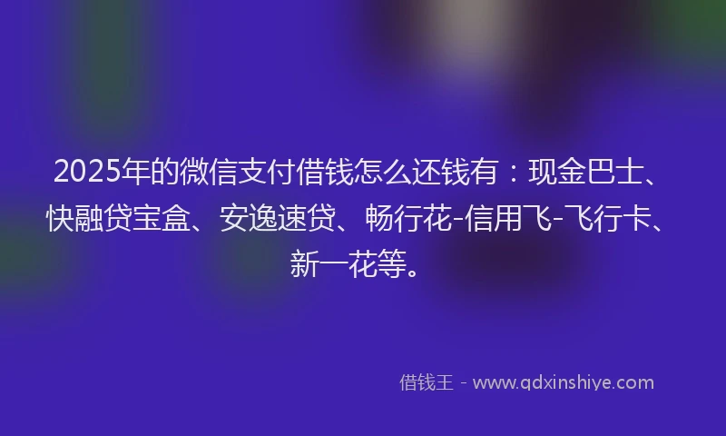 2025年的微信支付借钱怎么还钱有：现金巴士、快融贷宝盒、安逸速贷、畅行花-信用飞-飞行卡、新一花等。