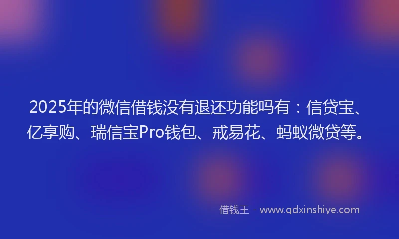 2025年的微信借钱没有退还功能吗有：信贷宝、亿享购、瑞信宝Pro钱包、戒易花、蚂蚁微贷等。