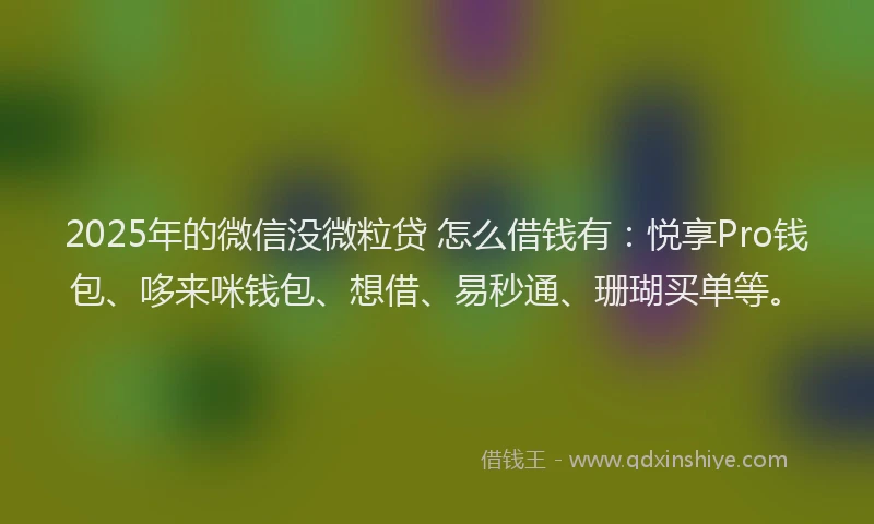 2025年的微信没微粒贷 怎么借钱有：悦享Pro钱包、哆来咪钱包、想借、易秒通、珊瑚买单等。