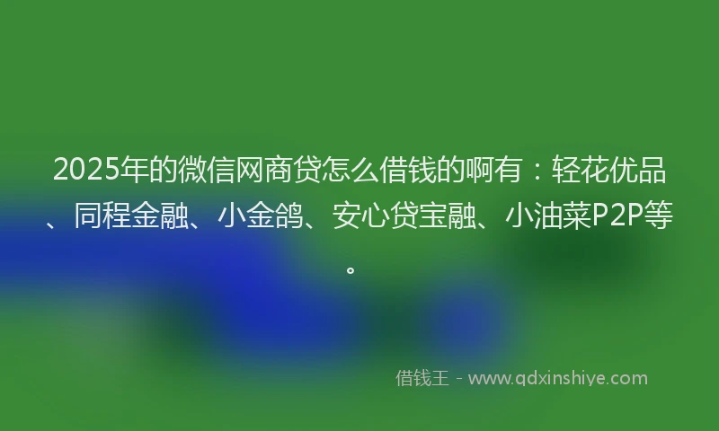 2025年的微信网商贷怎么借钱的啊有：轻花优品、同程金融、小金鸽、安心贷宝融、小油菜P2P等。