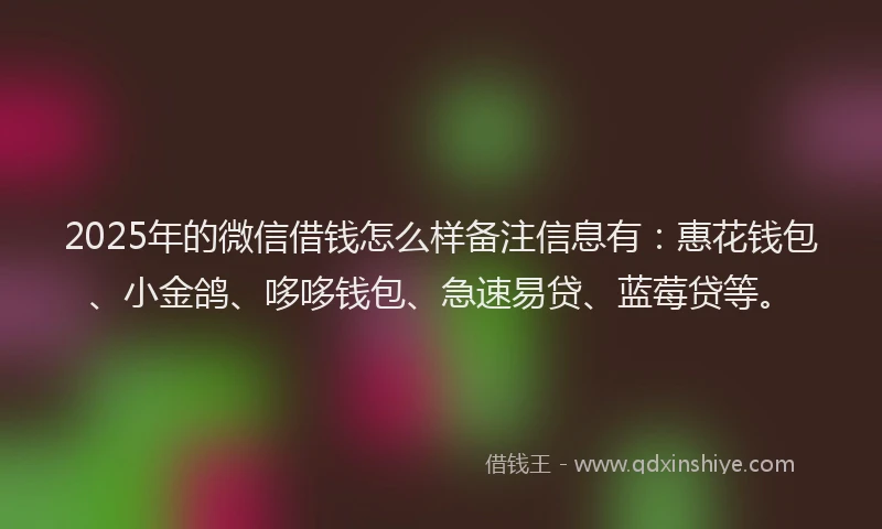 2025年的微信借钱怎么样备注信息有：惠花钱包、小金鸽、哆哆钱包、急速易贷、蓝莓贷等。