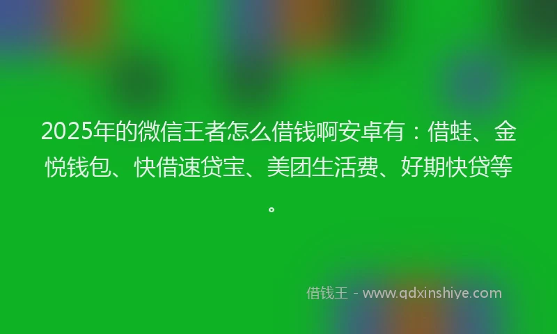 2025年的微信王者怎么借钱啊安卓有：借蛙、金悦钱包、快借速贷宝、美团生活费、好期快贷等。