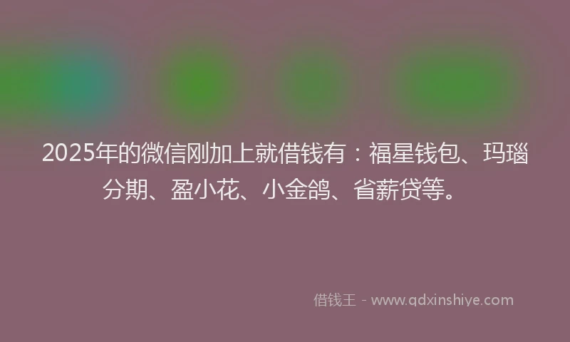 2025年的微信刚加上就借钱有：福星钱包、玛瑙分期、盈小花、小金鸽、省薪贷等。
