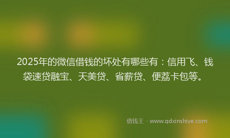 2025年的微信借钱的坏处有哪些有：信用飞、钱袋速贷融宝、天美贷、省薪贷、便荔卡包等。