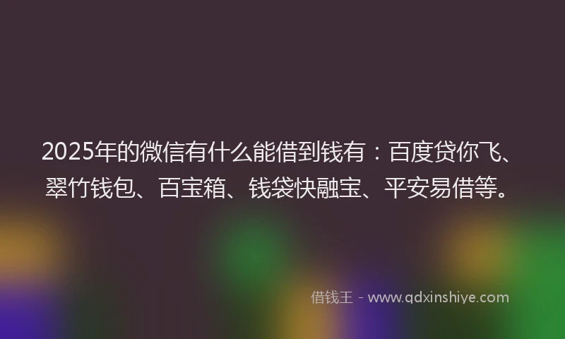 2025年的微信有什么能借到钱有：百度贷你飞、翠竹钱包、百宝箱、钱袋快融宝、平安易借等。