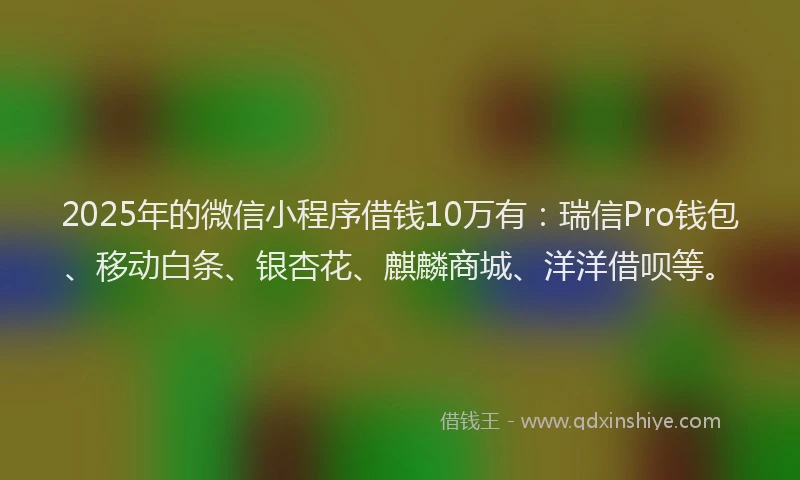 2025年的微信小程序借钱10万有：瑞信Pro钱包、移动白条、银杏花、麒麟商城、洋洋借呗等。
