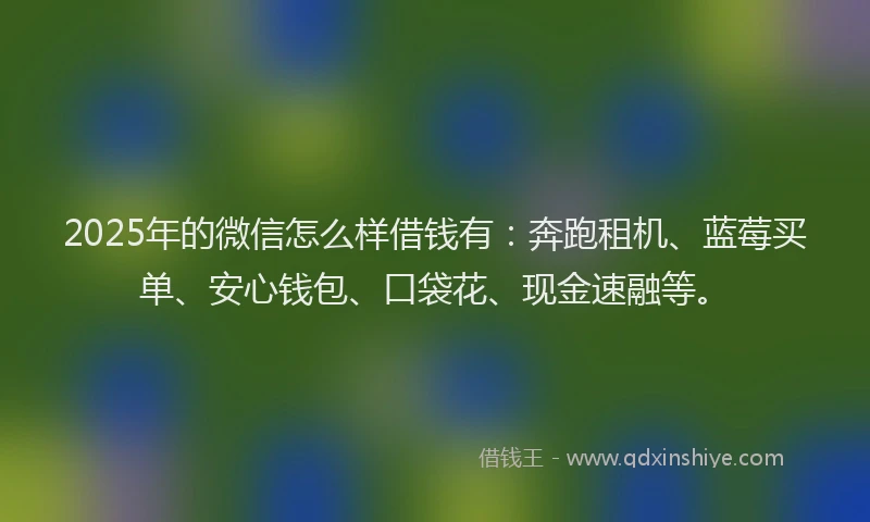 2025年的微信怎么样借钱有：奔跑租机、蓝莓买单、安心钱包、口袋花、现金速融等。