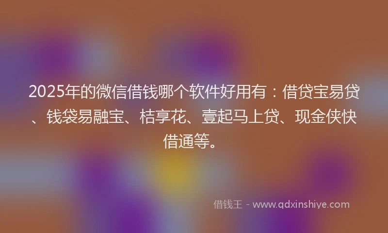 2025年的微信借钱哪个软件好用有：借贷宝易贷、钱袋易融宝、桔享花、壹起马上贷、现金侠快借通等。