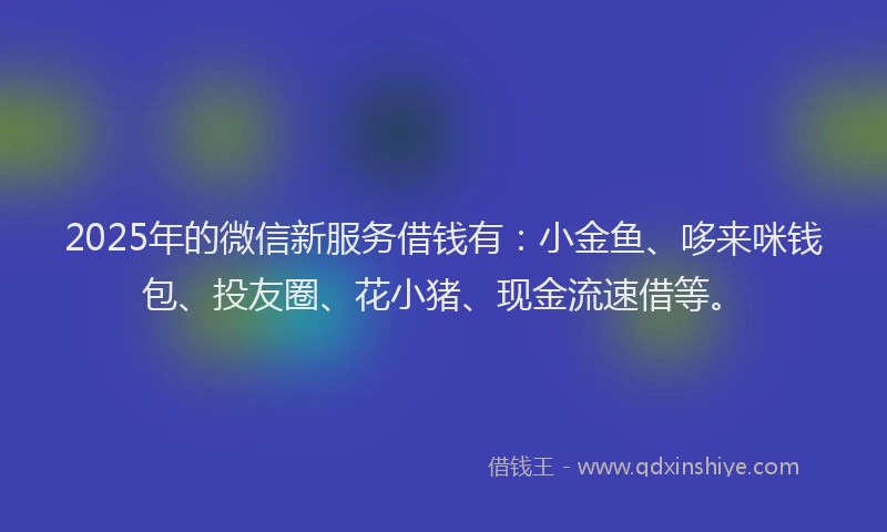 2025年的微信新服务借钱有：小金鱼、哆来咪钱包、投友圈、花小猪、现金流速借等。