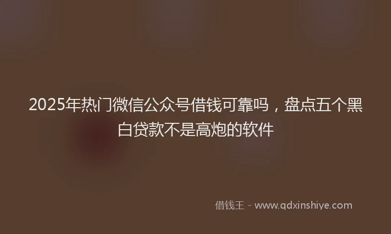 2025年热门微信公众号借钱可靠吗，盘点五个黑白贷款不是高炮的软件