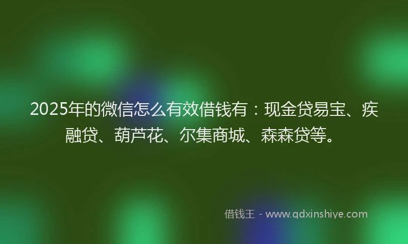 2025年的微信怎么有效借钱有：现金贷易宝、疾融贷、葫芦花、尔集商城、森森贷等。