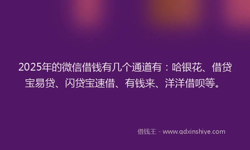 2025年的微信借钱有几个通道有：哈银花、借贷宝易贷、闪贷宝速借、有钱来、洋洋借呗等。