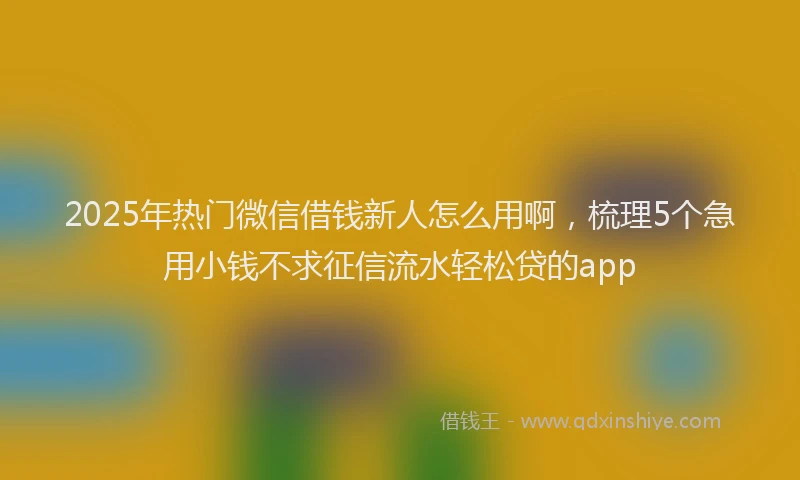 2025年热门微信借钱新人怎么用啊，梳理5个急用小钱不求征信流水轻松贷的app