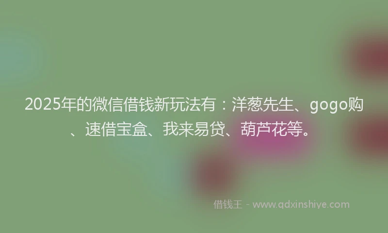 2025年的微信借钱新玩法有：洋葱先生、gogo购、速借宝盒、我来易贷、葫芦花等。