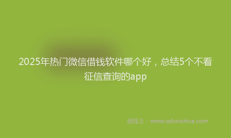 2025年热门微信借钱软件哪个好，总结5个不看征信查询的app