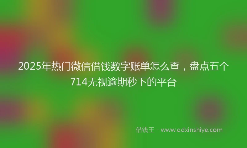 2025年热门微信借钱数字账单怎么查，盘点五个714无视逾期秒下的平台