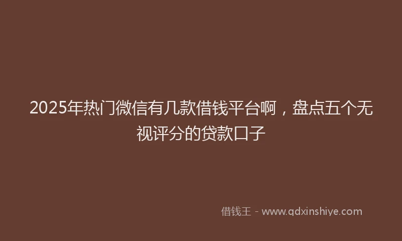 2025年热门微信有几款借钱平台啊，盘点五个无视评分的贷款口子