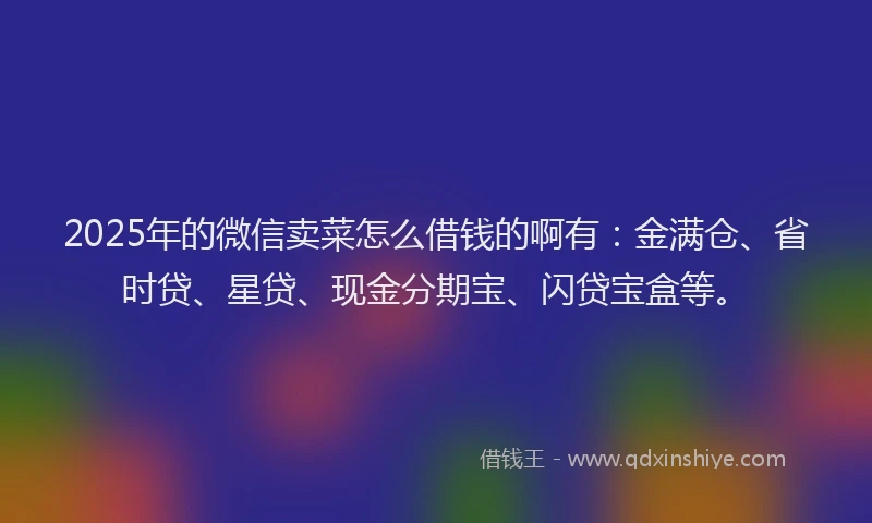 2025年的微信卖菜怎么借钱的啊有：金满仓、省时贷、星贷、现金分期宝、闪贷宝盒等。