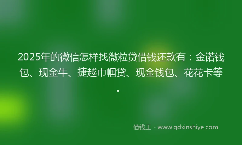 2025年的微信怎样找微粒贷借钱还款有：金诺钱包、现金牛、捷越巾帼贷、现金钱包、花花卡等。