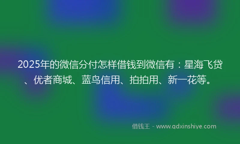 2025年的微信分付怎样借钱到微信有：星海飞贷、优者商城、蓝鸟信用、拍拍用、新一花等。