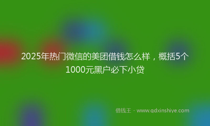 2025年热门微信的美团借钱怎么样，概括5个1000元黑户必下小贷
