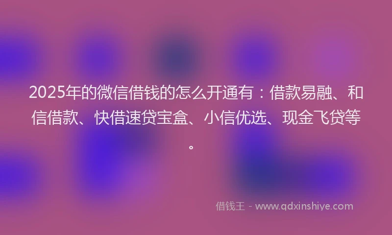 2025年的微信借钱的怎么开通有：借款易融、和信借款、快借速贷宝盒、小信优选、现金飞贷等。