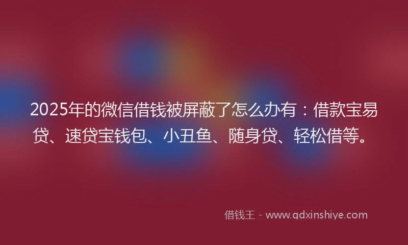 2025年的微信借钱被屏蔽了怎么办有：借款宝易贷、速贷宝钱包、小丑鱼、随身贷、轻松借等。